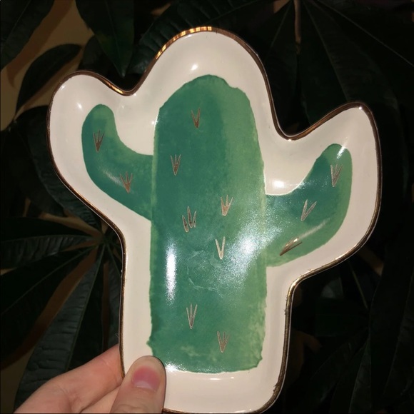 succulent plates - Picture 4 of 4